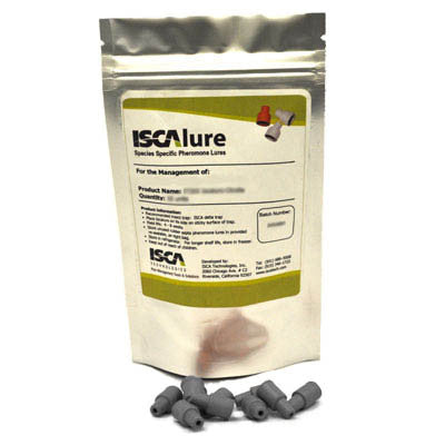 Tobacco Budworm - IT036 - ISCA Technologies
- 1